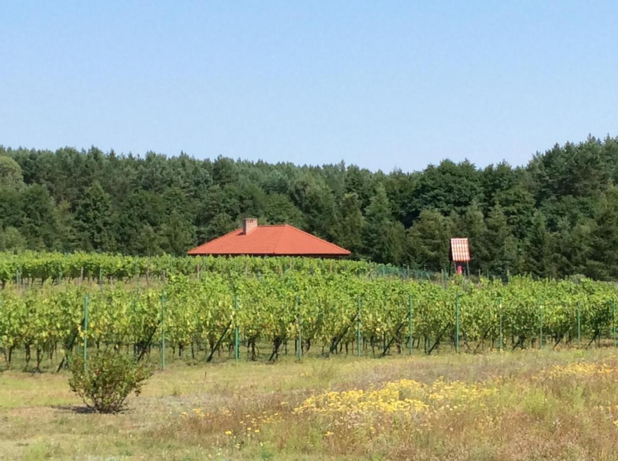 Winnica "Zabi Raj" Skarszewy Exterior foto